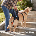 Load image into Gallery viewer, Dog Hind Leg Lift Harness

