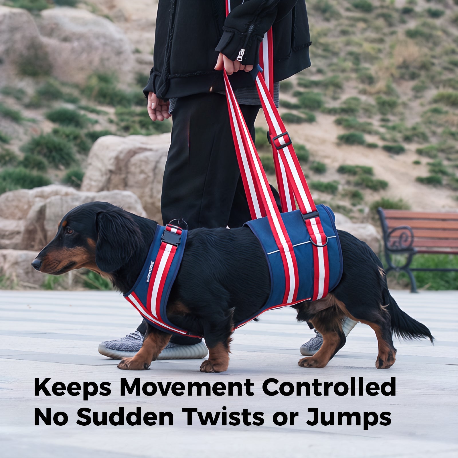 Dog Hind Leg Lift Harness