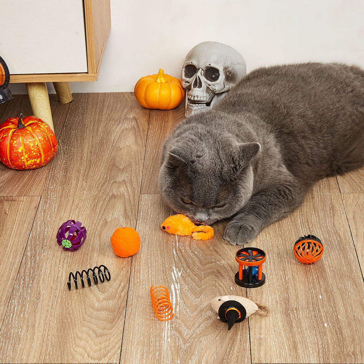Halloween Pumpkin Cat Toy Set – Fun & Interactive