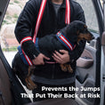 Load image into Gallery viewer, Dog Hind Leg Lift Harness
