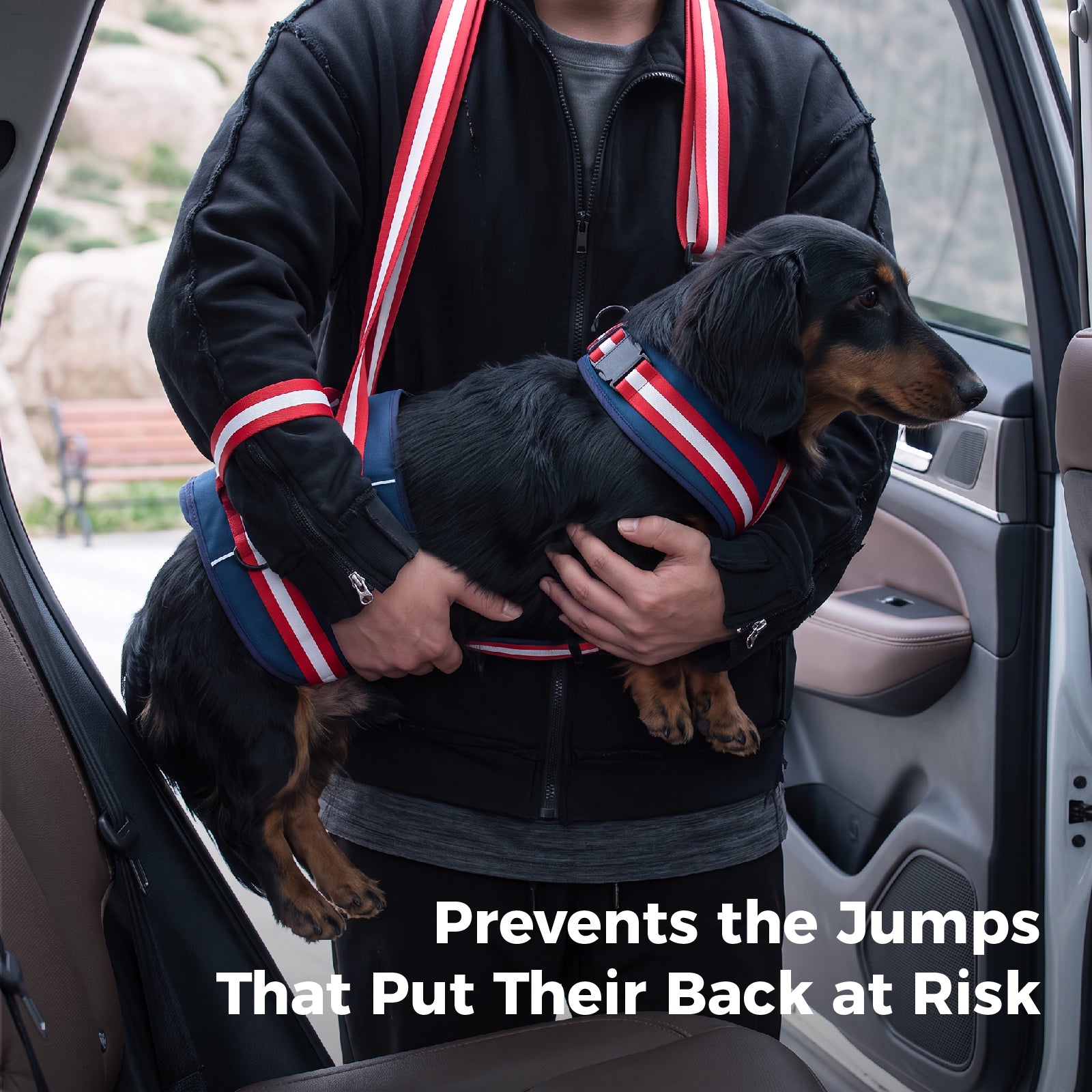 Dog Hind Leg Lift Harness