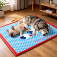 Load image into Gallery viewer, Summer Cooling Mat for Dogs & Cats
