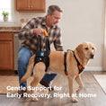Load image into Gallery viewer, Dog Hind Leg Lift Harness
