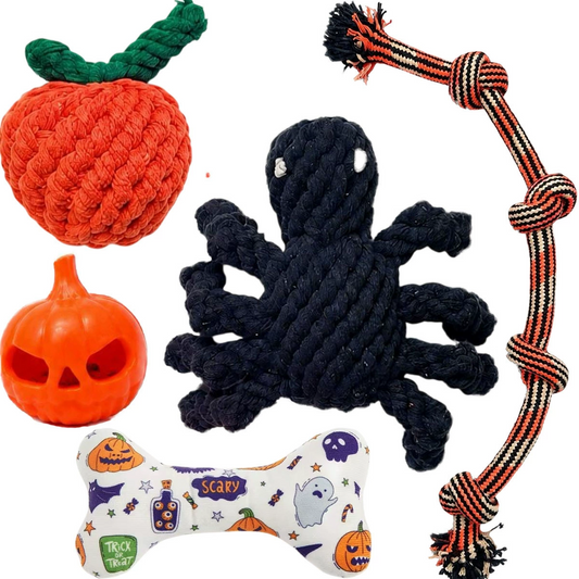 Halloween Rope Spider Dog Toy – Chew & Treat Toy