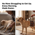 Load image into Gallery viewer, Pandajin-Dog Rear Leg Lift Support Harness
