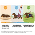 Load image into Gallery viewer, Dog Hind Leg Lift Harness
