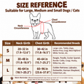 Load image into Gallery viewer, Halloween Giant Spider Costume for Dogs & Cats

