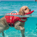 Load image into Gallery viewer, High-Buoyancy Dog Life Jacket with Rescue Handle
