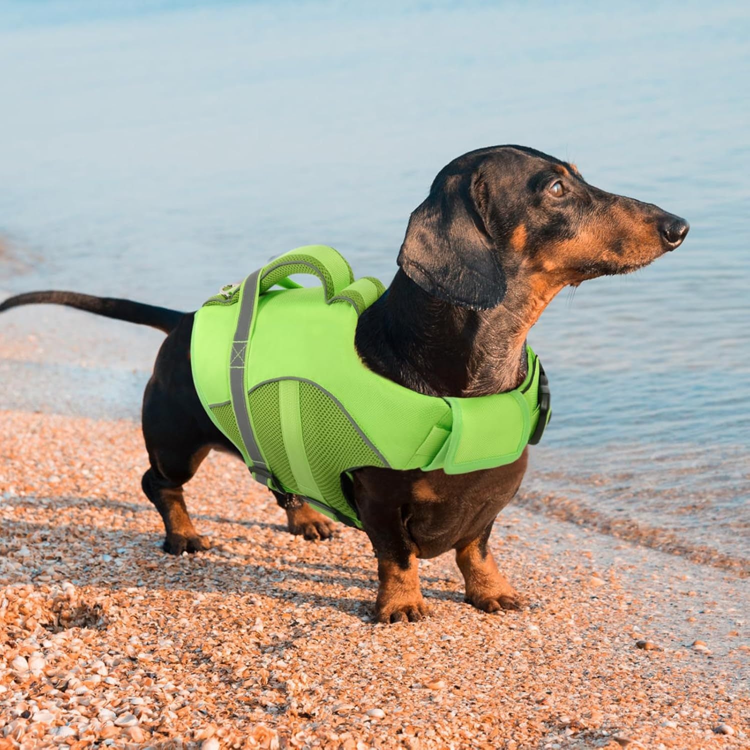 Dog Life Vest, High Flotation for Swimming, Boating & Beach