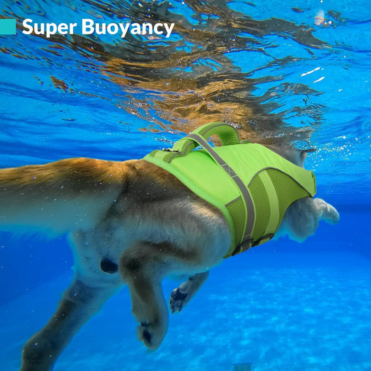 Dog Life Vest, High Flotation for Swimming, Boating & Beach