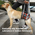 Load image into Gallery viewer, Pandajin-Dog Rear Leg Lift Support Harness
