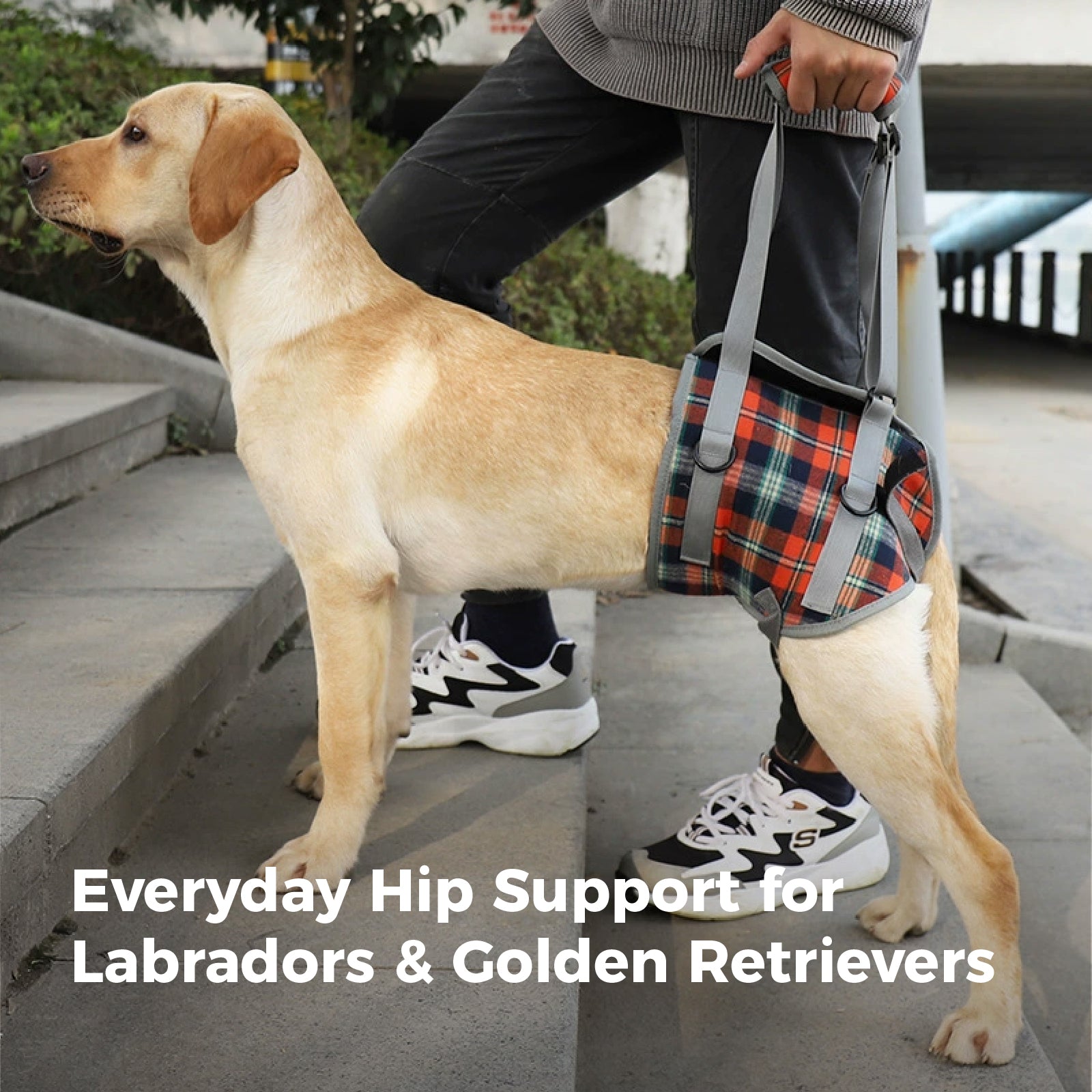 Pandajin-Dog Rear Leg Lift Support Harness