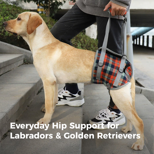 Pandajin-Dog Rear Leg Lift Support Harness