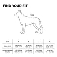 Load image into Gallery viewer, Pandajin-Dog Rear Leg Lift Support Harness
