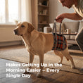 Load image into Gallery viewer, Pandajin-Dog Rear Leg Lift Support Harness
