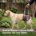 Load image into Gallery viewer, Pandajin-Dog Rear Leg Lift Support Harness
