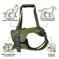 Load image into Gallery viewer, Dog Rear Leg Lift Support Harness
