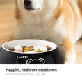 Load image into Gallery viewer, Dog enjoying a slow meal from the retro feeder bowl
