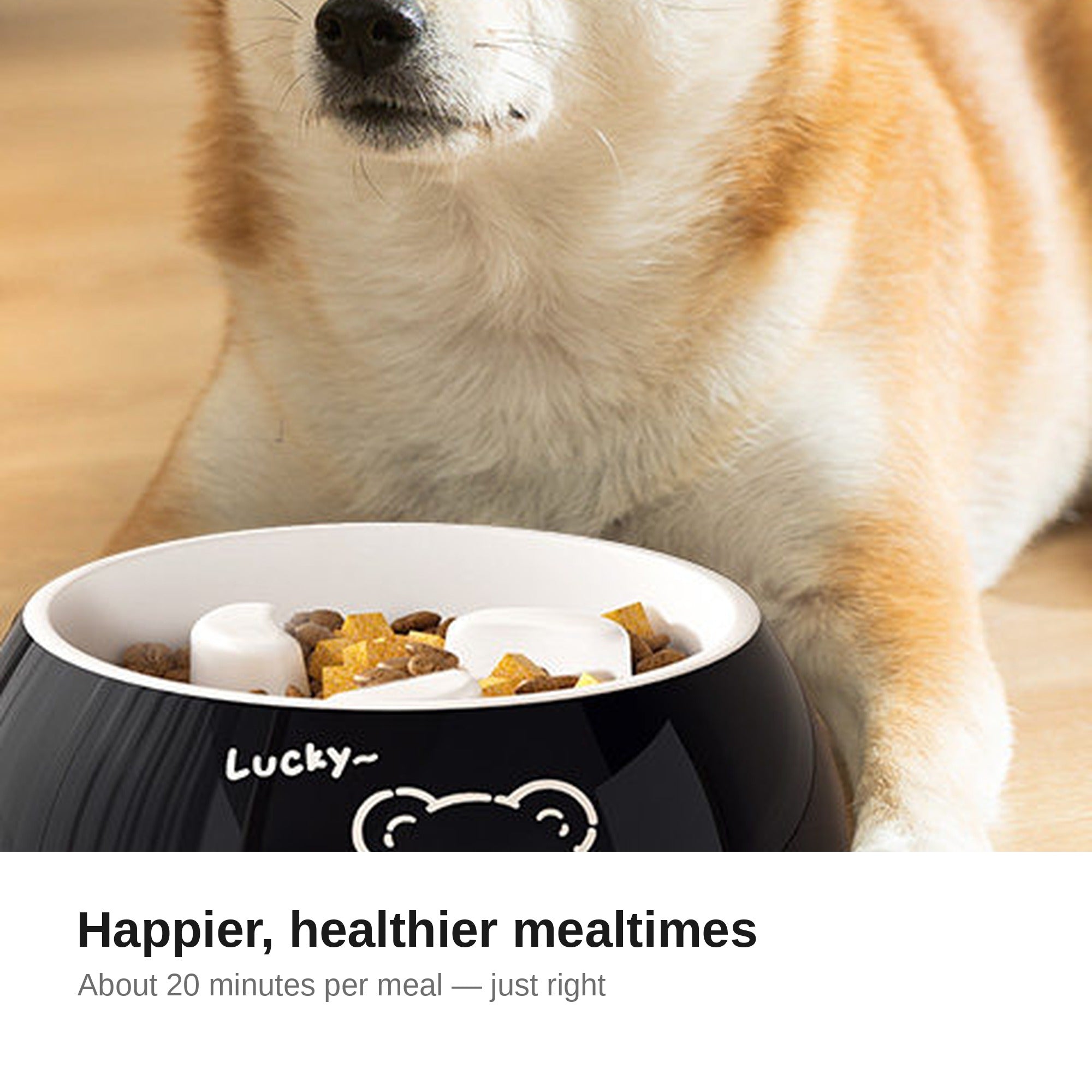 Dog enjoying a slow meal from the retro feeder bowl