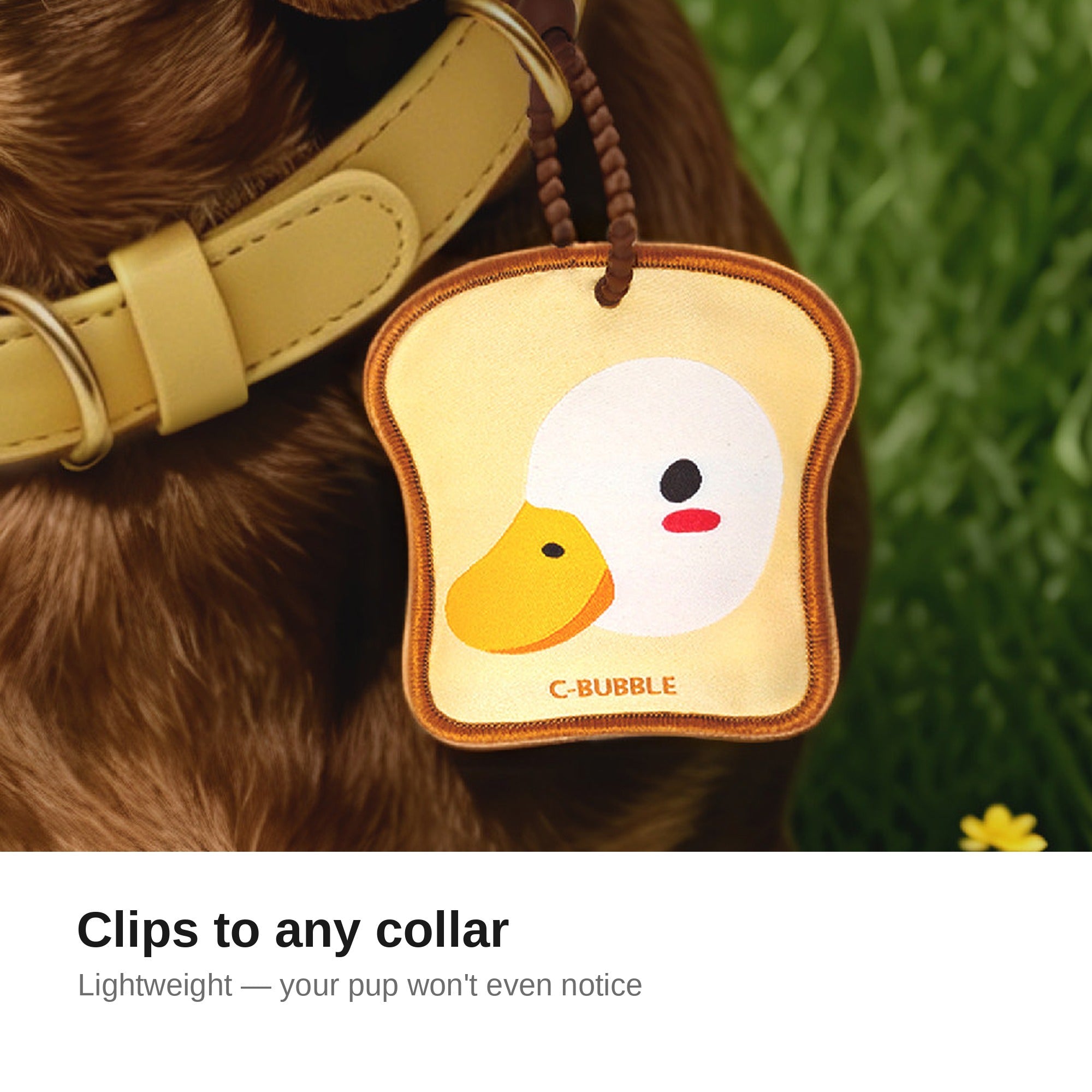 Toast duck charm clipped to a dog collar
