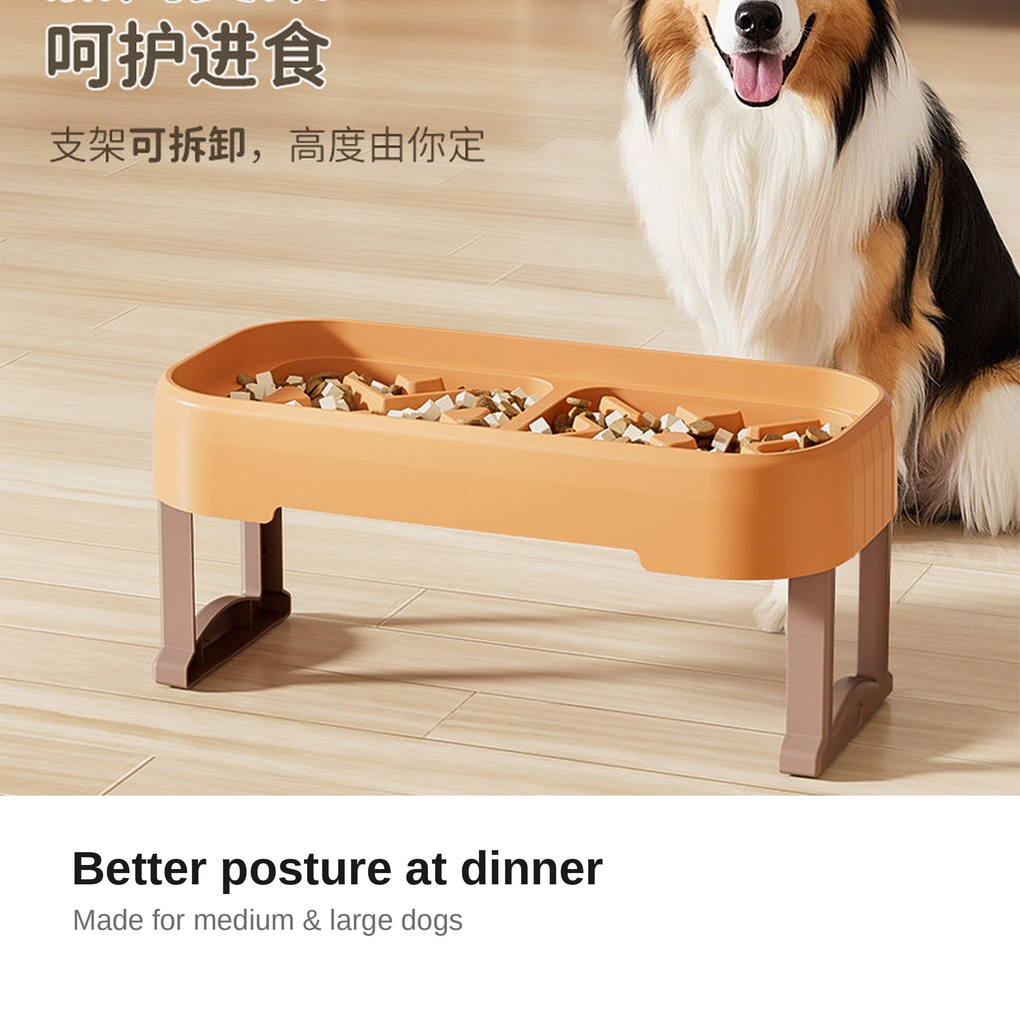 Dog standing next to the elevated feeder