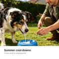 Load image into Gallery viewer, Dog enjoying frozen treats outdoors

