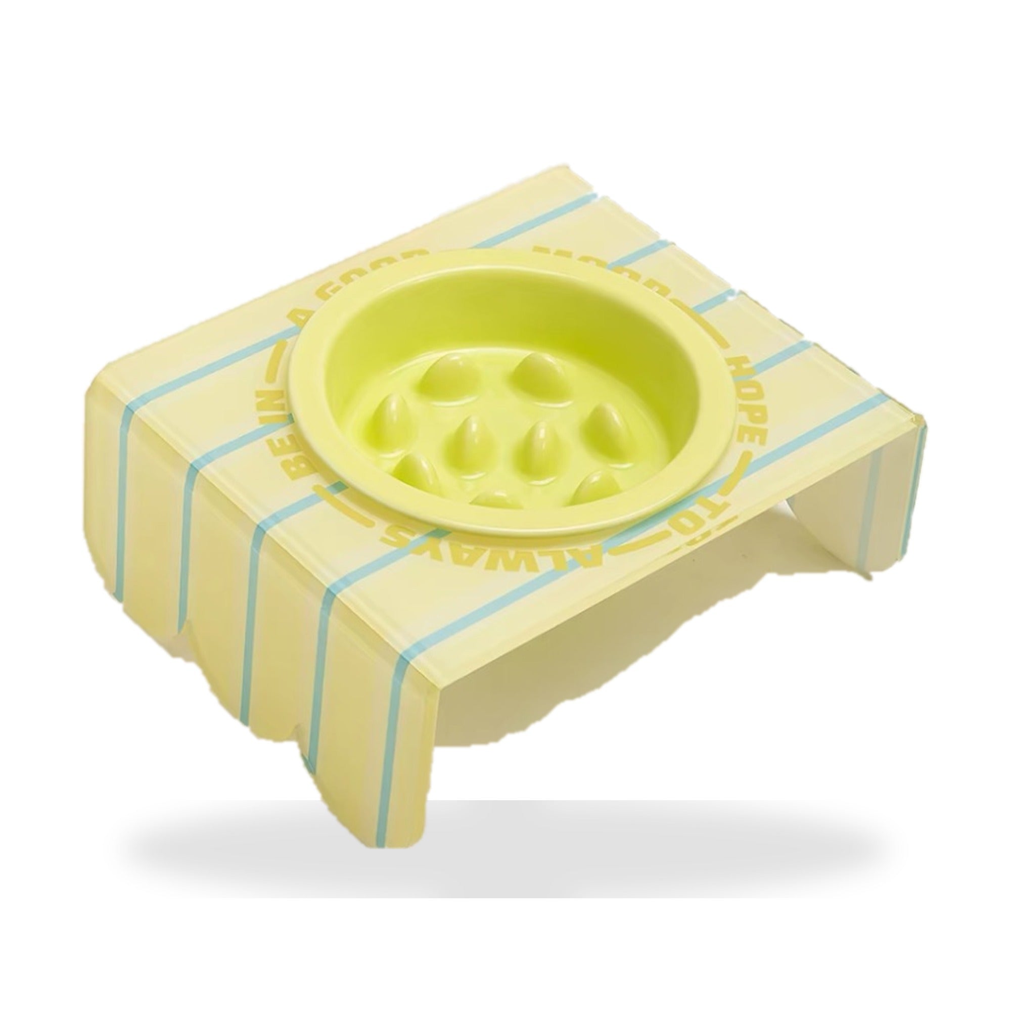 Lemon acrylic elevated pet bowl